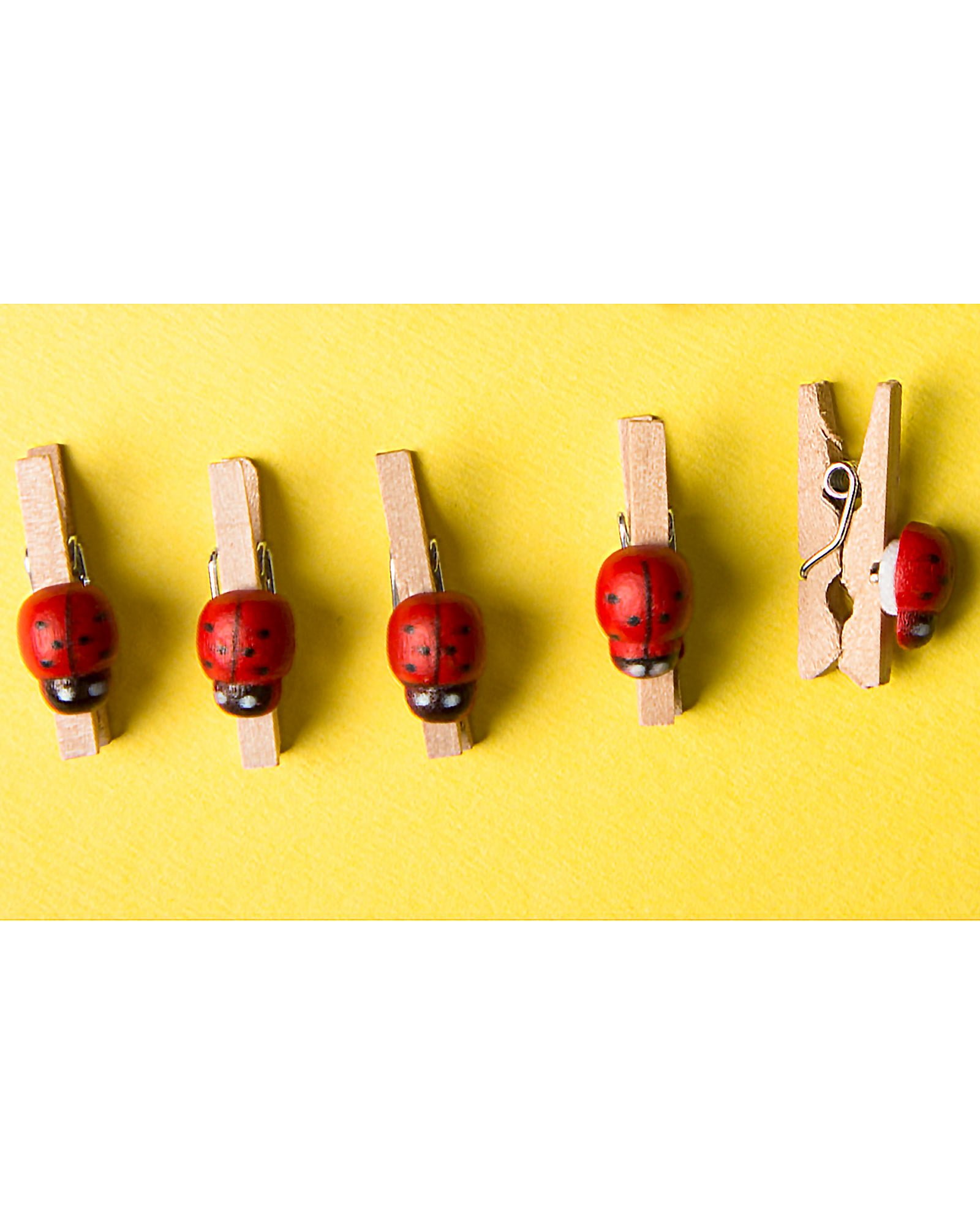 گیره چوبی طرح کفشدوزک - کرمی - کادویی